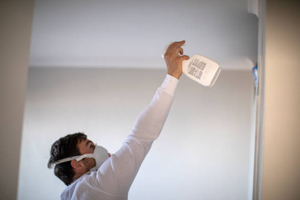 Best Local Mold Removal Service  in Travilah, MD