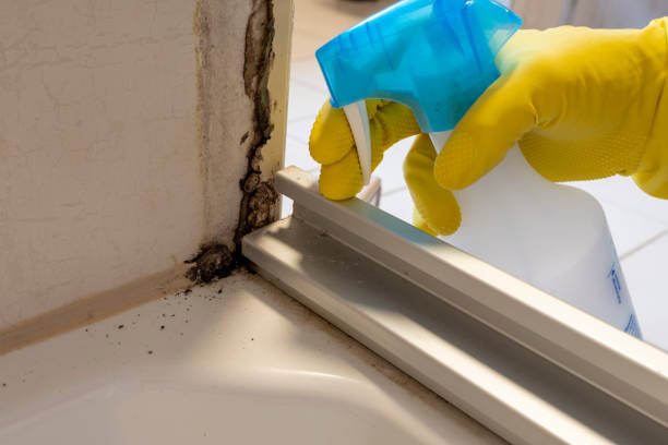 Best Emergency Mold Removal  in Travilah, MD